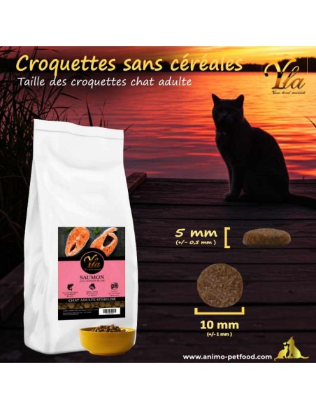 Croquettes rondes adaptées aux chats stérilisés, favorisant la mastication et la digestion.