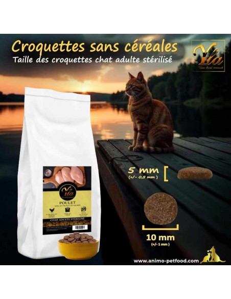 Croquettes pour chat stérilisé, favorisant la santé bucco-dentaire et réduisant le tartre.