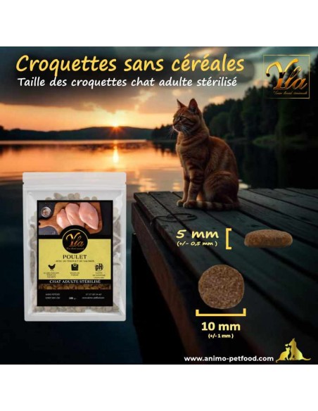 Croquettes pour chat aidant à réduire la plaque dentaire et favoriser la santé bucco-dentaire