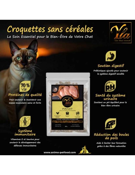 Bienfaits des croquettes sans céréales pour chat stérilisé, riches en protéines de poulet, thon et saumon.