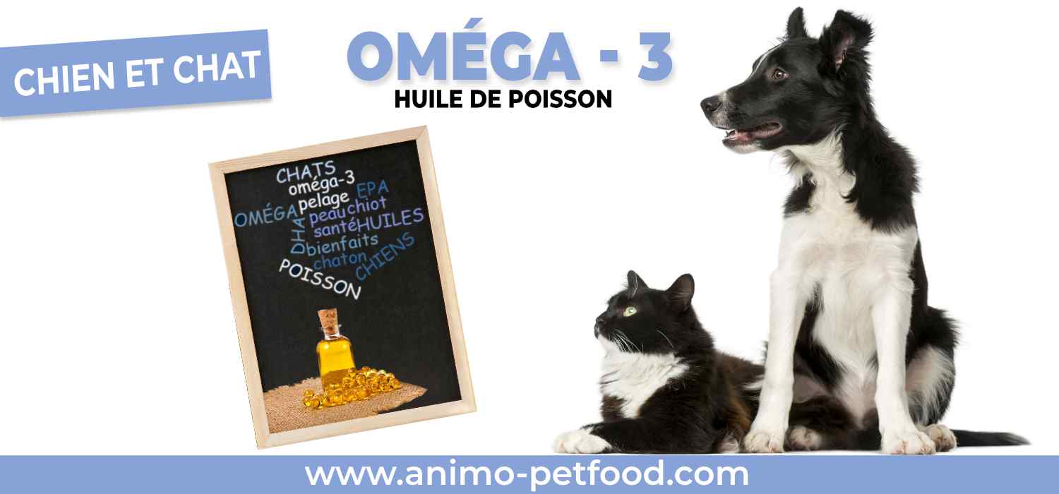 Huile aux oméga-3 pour la peau et le pelage des chats et des chiens