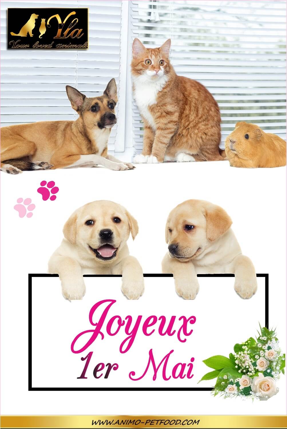 Animo Petfood Vous Souhaite Un Joyeux 1 Er Mai