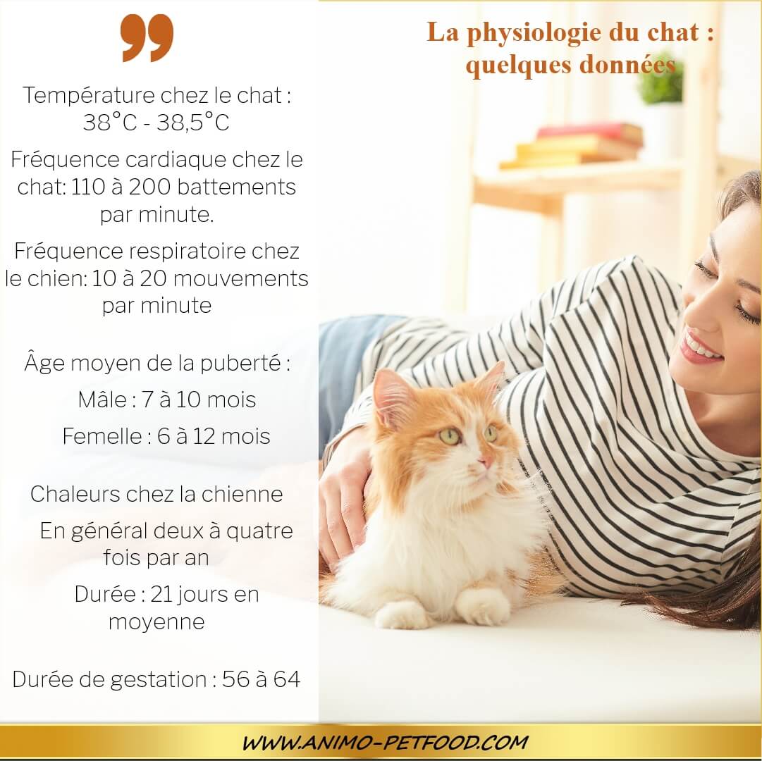 La Physiologie Du Chat Quelques Donnees