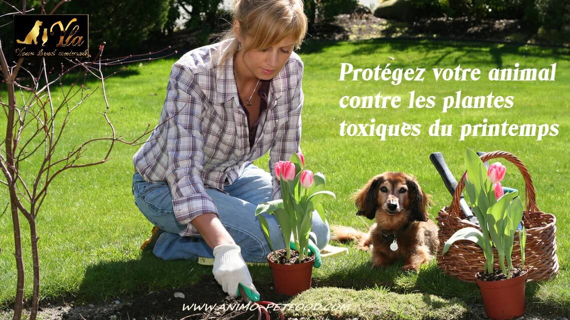 Protegez Votre Animal Contre Les Plantes Toxiques Du Printemps