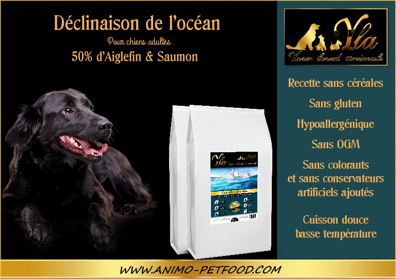 chien-alimentation-hypoallergénique-problemes-de-peau-ou-de-pelage