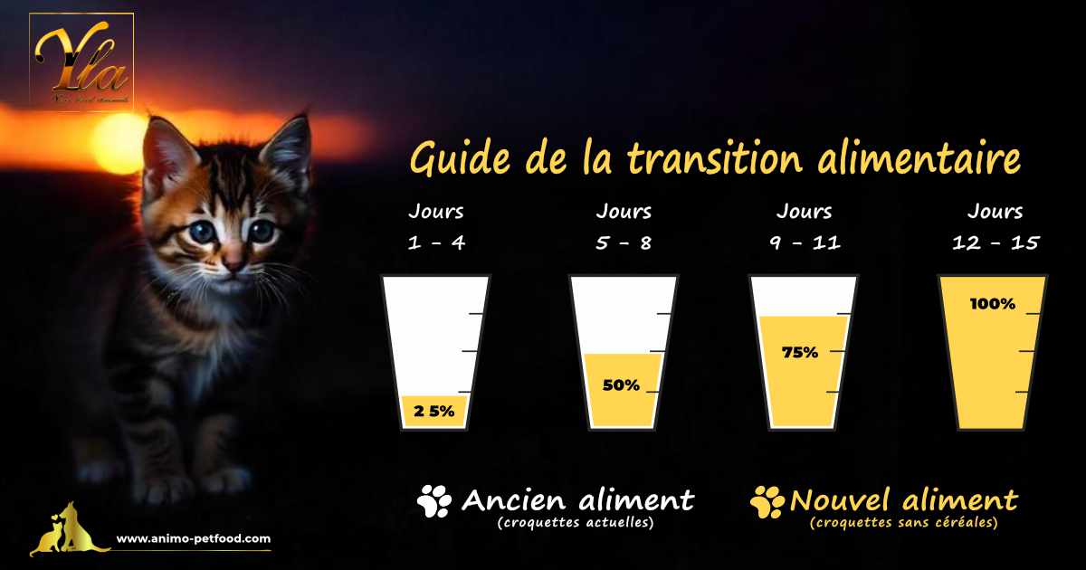 Changement de nourriture pour chaton sans problèmes digestifs