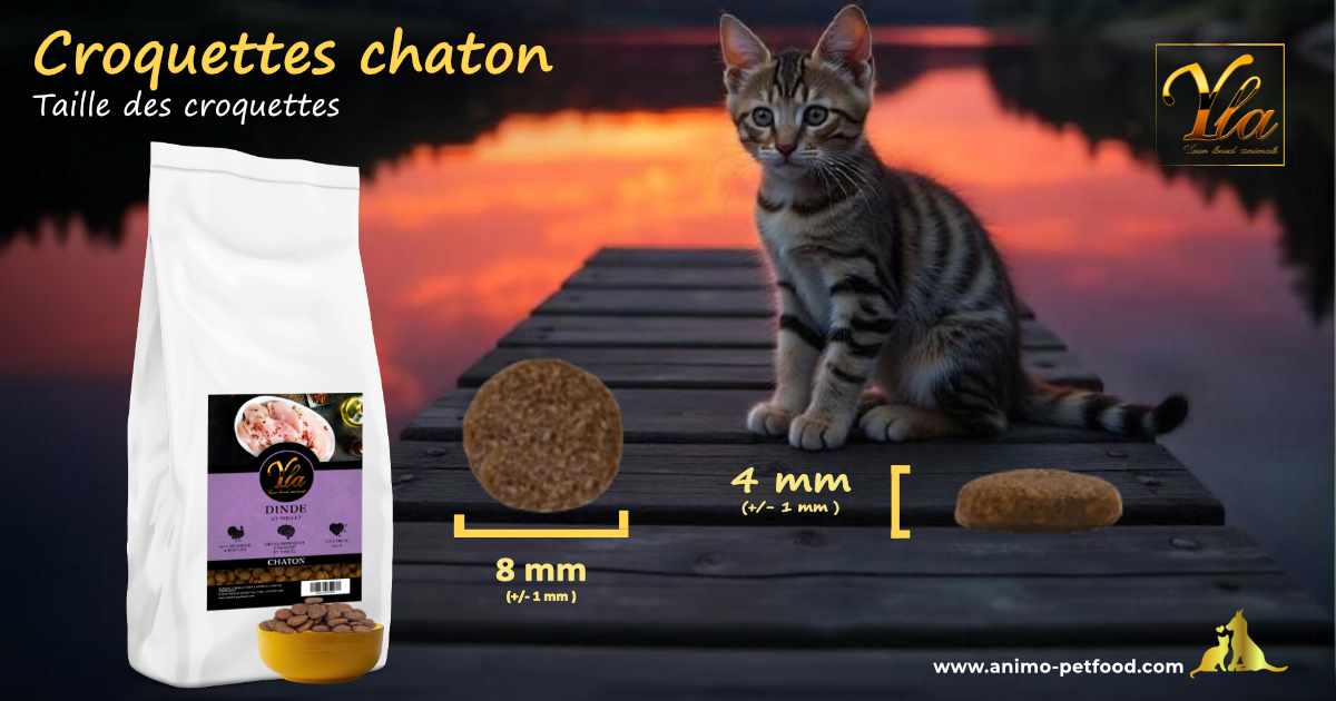 Croquettes adaptées aux petites mâchoires des chatons, idéales pour une mastication facile et une bonne hygiène dentaire.