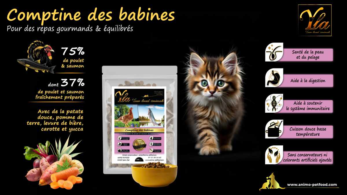 Croquettes sans céréales pour chaton, au saumon et poulet, pour une nutrition optimale et une croissance saine.