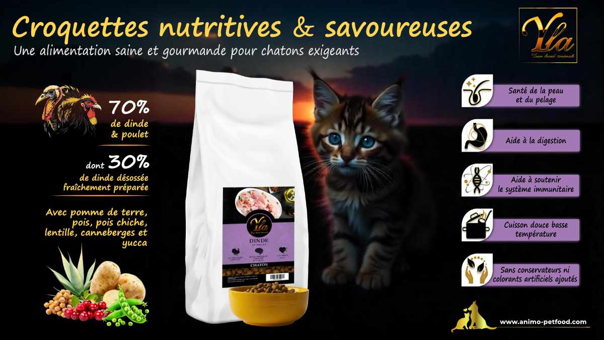 Croquettes pour chatons sensibles avec digestion délicate, sans gluten ni céréales