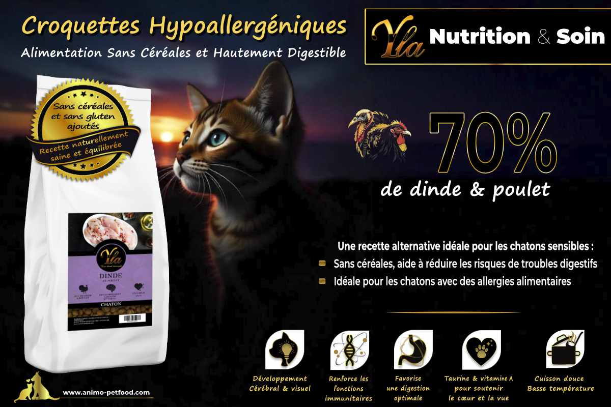 Croquettes hypoallergéniques pour chatons sensibles à base de dinde et de poulet, sans céréales.