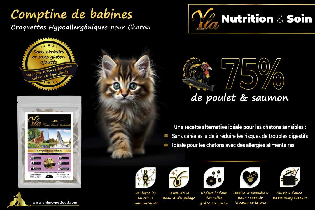 Croquettes naturelles sans céréales pour chaton, au saumon et poulet, pour une croissance saine.