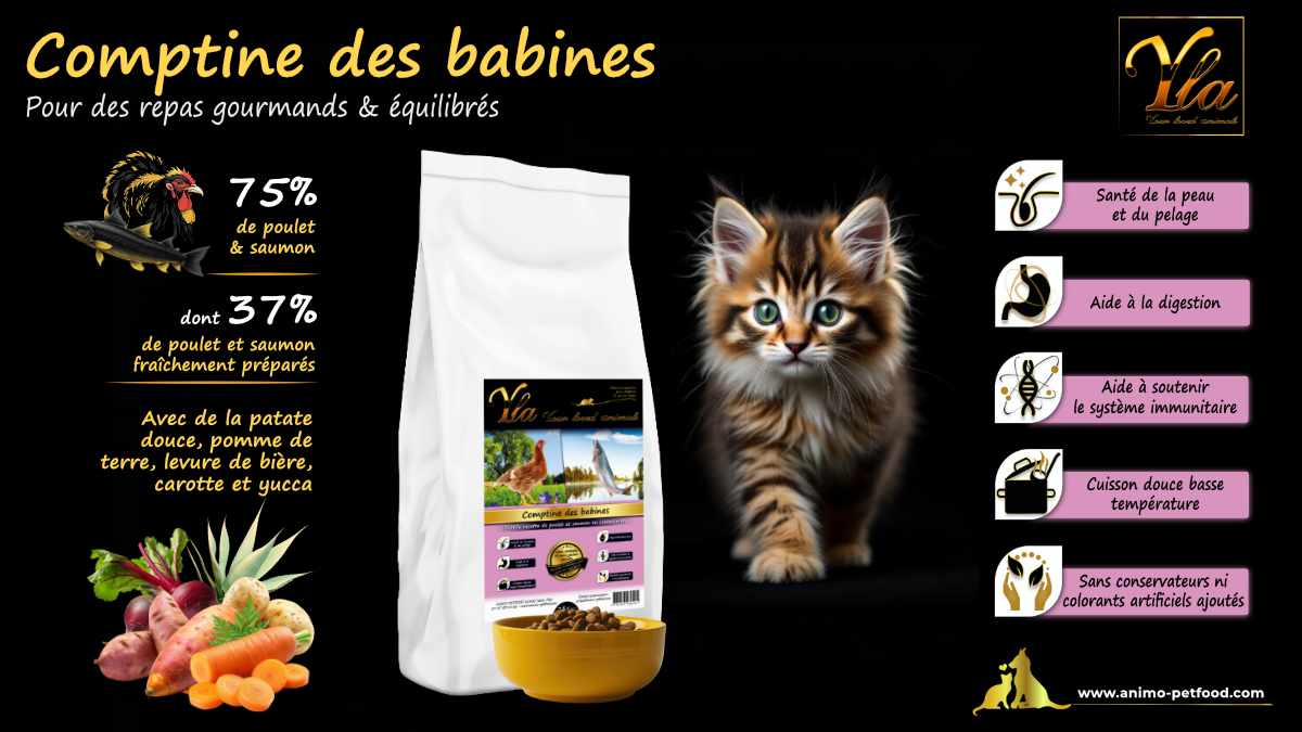 Croquettes pour chaton hypoallergéniques au poulet et saumon, nourrissant et soutenant la croissance