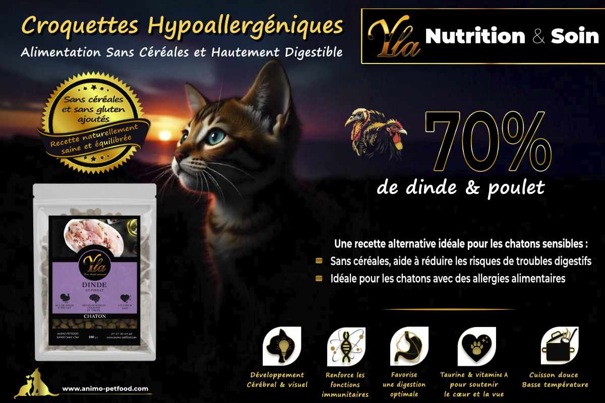 Croquettes pour chaton sans céréales, riches en protéines animales de dinde et de poulet, idéales pour une croissance saine et une digestion optimale.