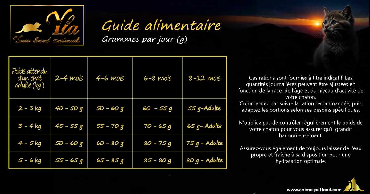 Guide de l’alimentation du chaton : besoins nutritionnels et quantités recommandées pour une croissance équilibrée.