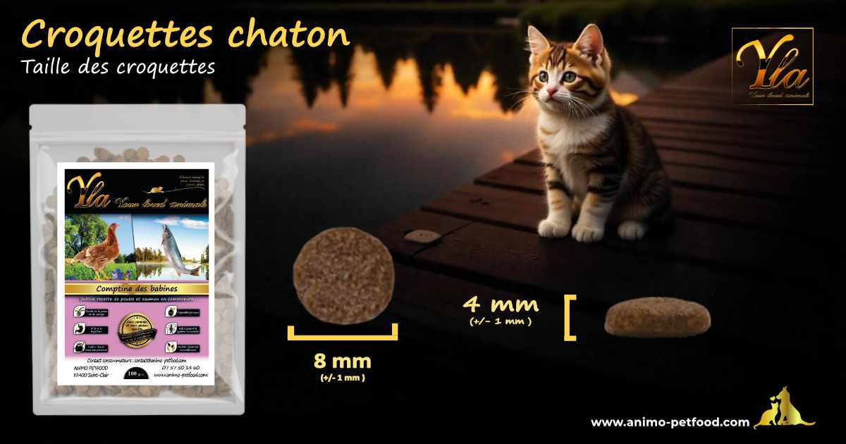 Croquettes adaptées à la taille et forme des mâchoires des chatons, conçues pour faciliter la mastication et améliorer la digestion.