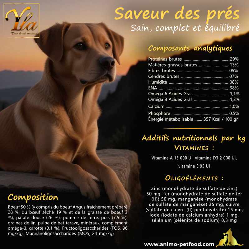 Croquettes pour chiens hypoallergéniques, avec une recette sans céréales et riches en bœuf