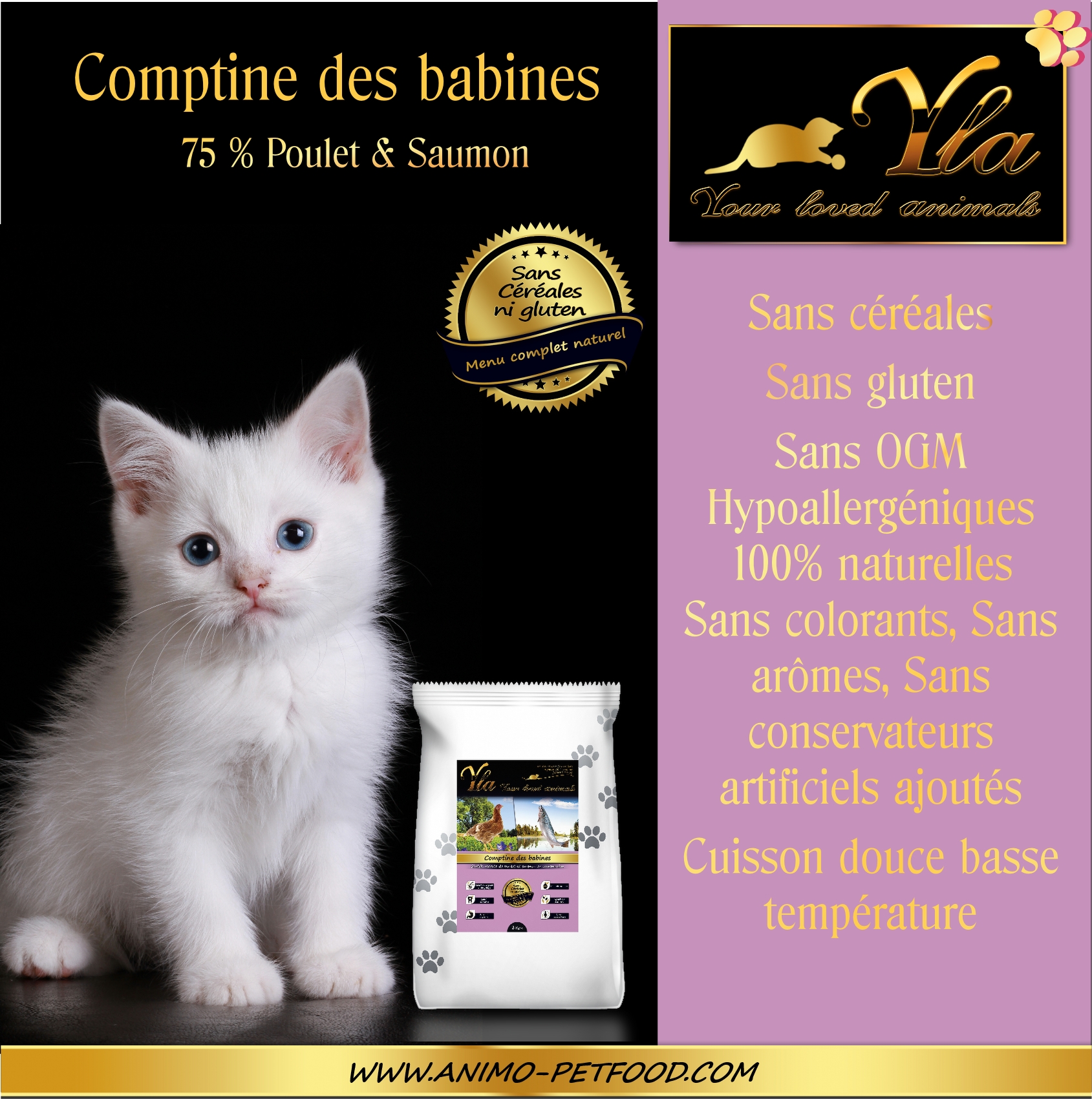 Tout Savoir Sur Les Dents De Votre Chaton