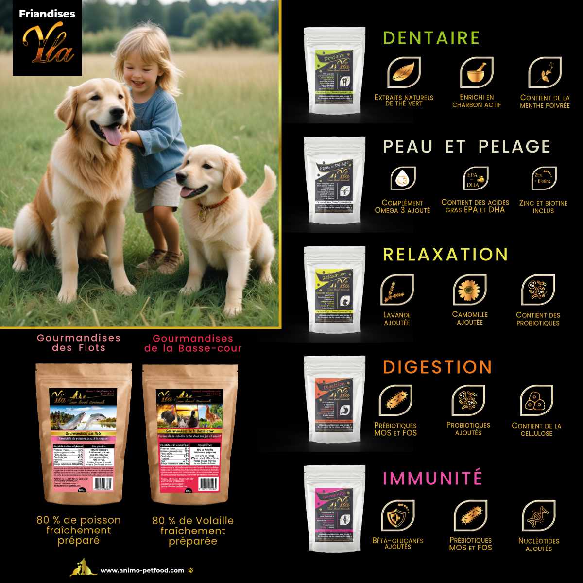 Gourmandises et friandises pour le bien-être et l'éducation des chiens