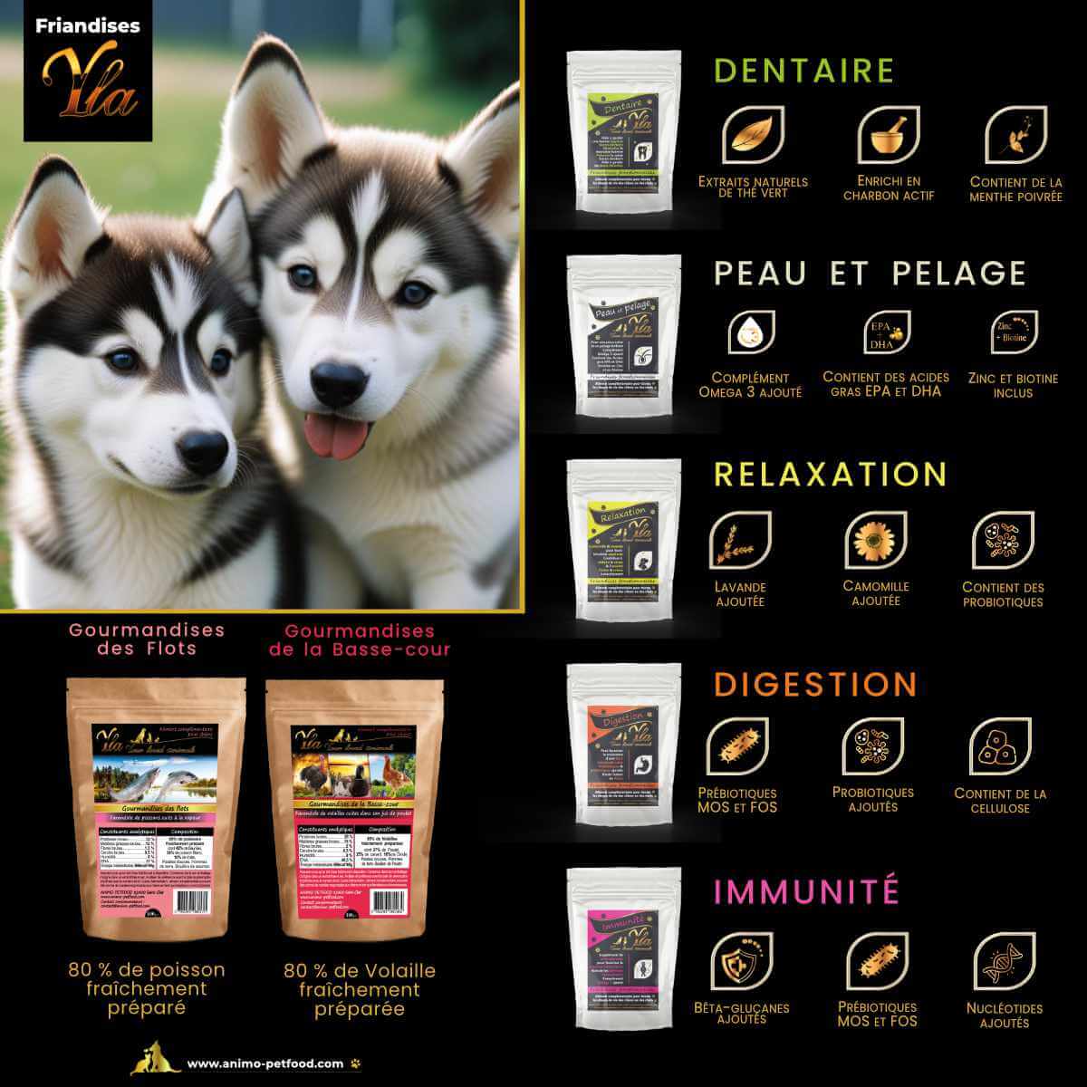 Gourmandises et friandises pour chiens : immunité, relaxation, digestion, peau et pelage, dentaire