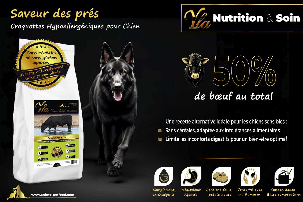 Croquettes pour chiens sensibles - Riche en bœuf, sans céréales, limitant les inconforts digestifs