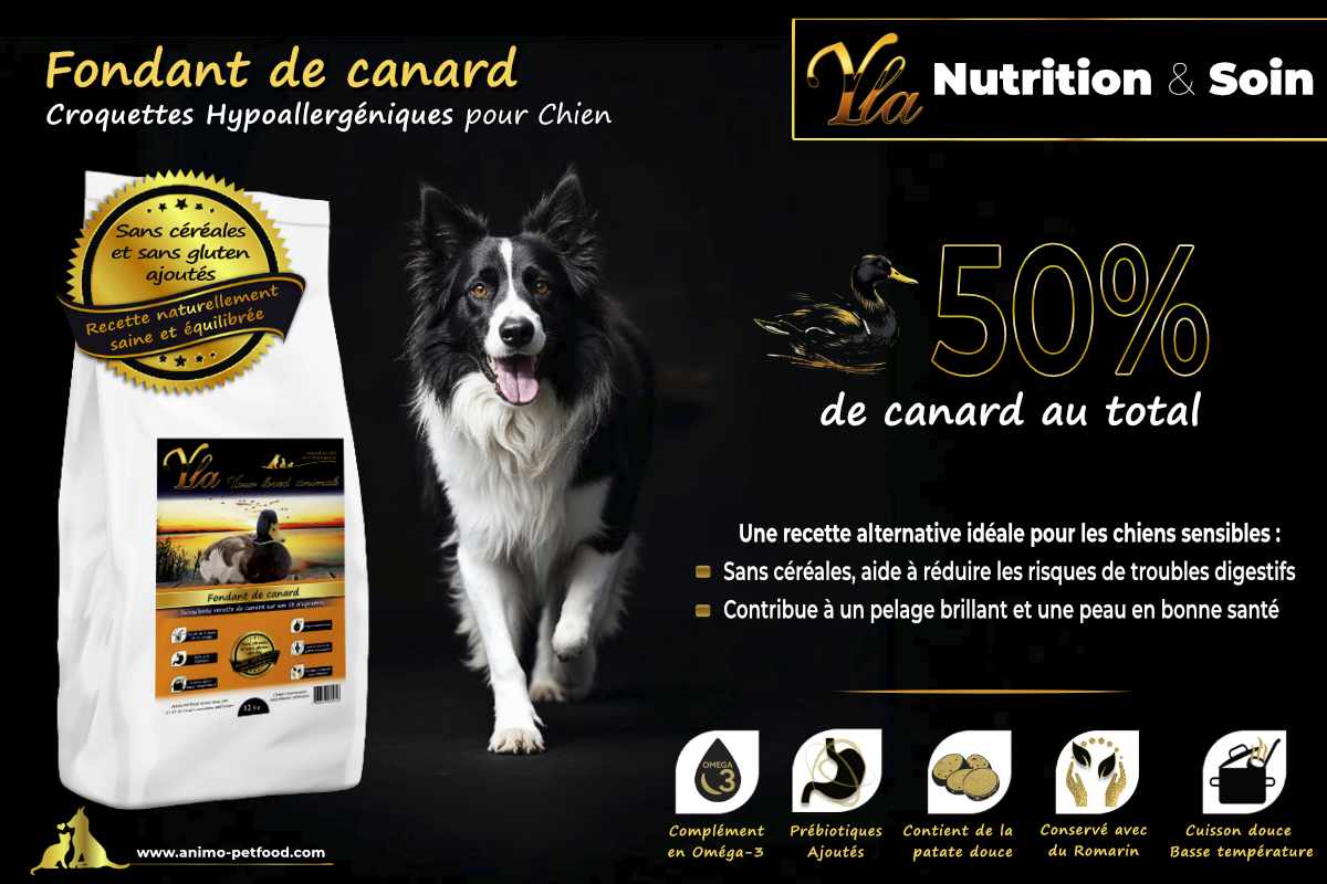 Alimentation hypoallergénique au canard pour chien sans gluten et sans céréales