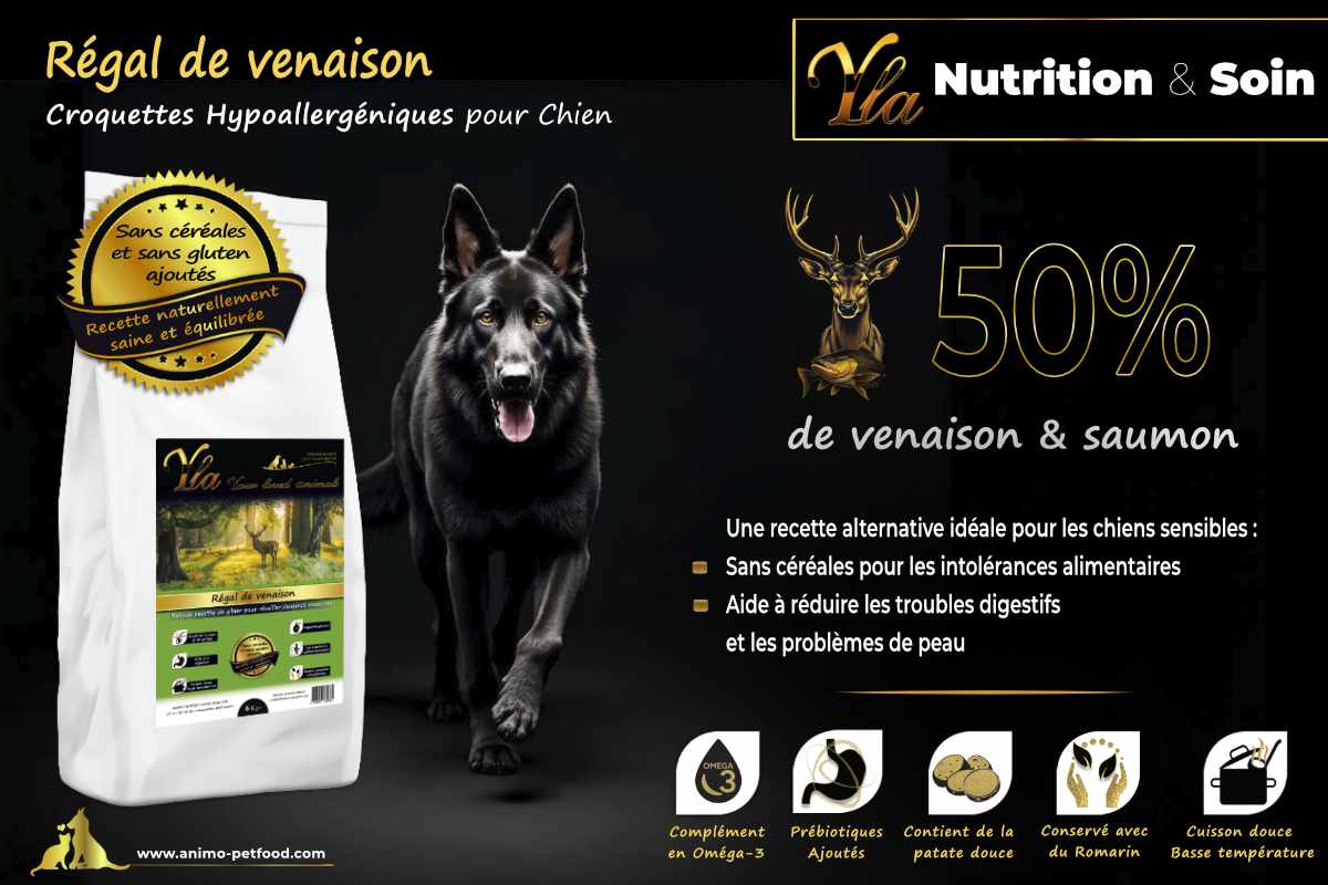 Alimentation sans céréales pour chiens sensibles - 50% de saumon et venaison, réduit les troubles digestifs et les problèmes de peau