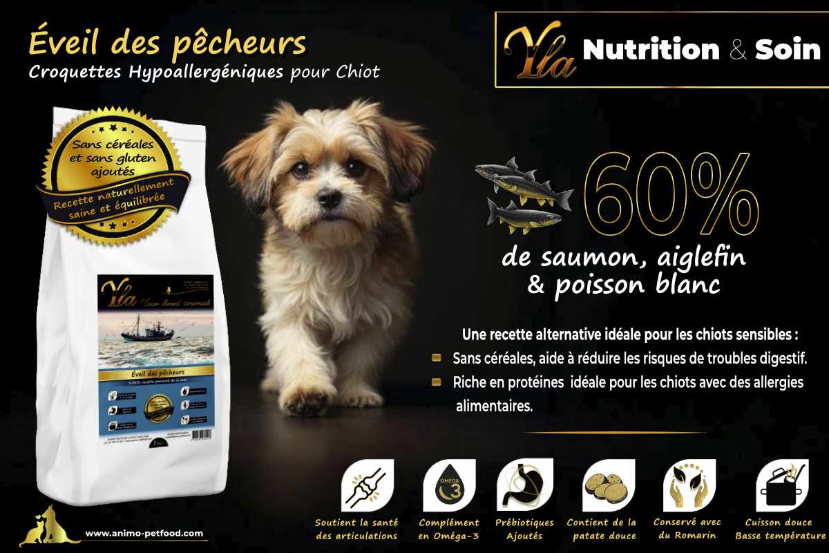 Croquettes pour chiot à base de poisson, idéales pour les sensibilités digestives et les problèmes de peau