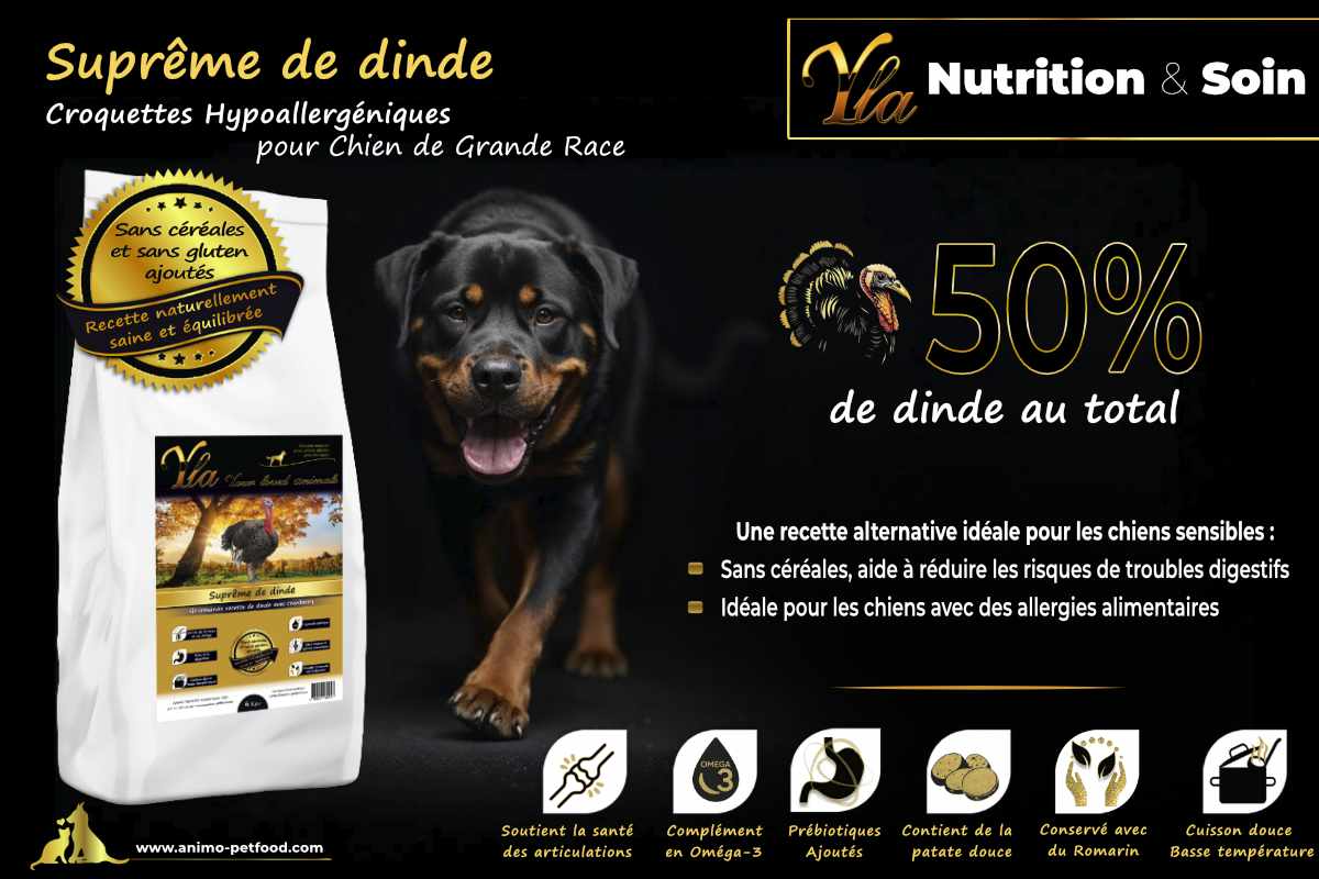 Recette sans céréales pour chiens de grande race - 50% de dinde, réduit les troubles digestifs et les allergies alimentaires.