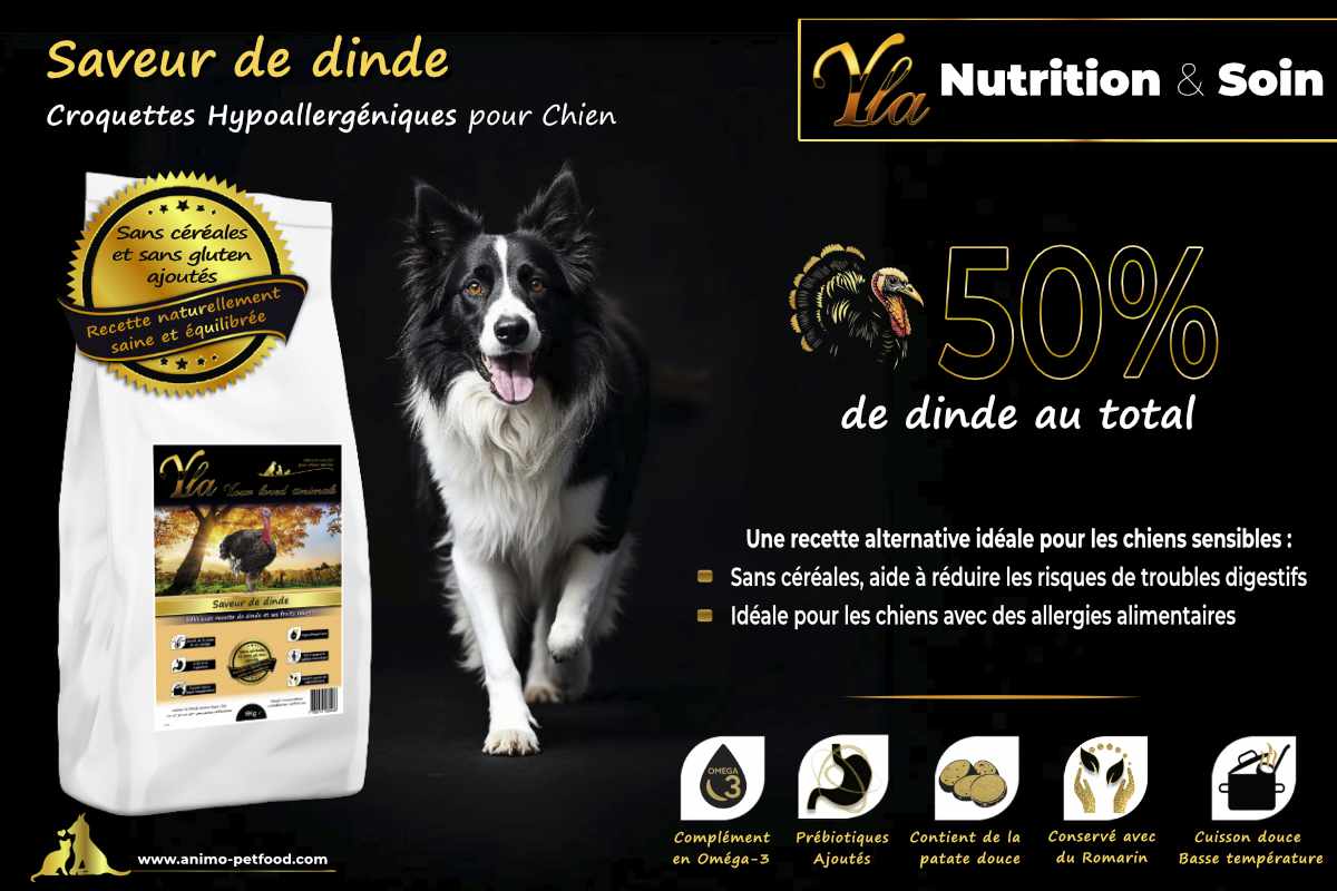 Recette sans céréales pour chiens sensibles - 50% dinde, réduit les troubles digestifs et les allergies alimentaires.