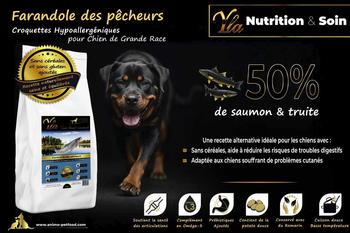 Recette sans céréales pour chiens de grande race - 50% saumon et truite, réduit les troubles digestifs et améliore la santé de la peau.