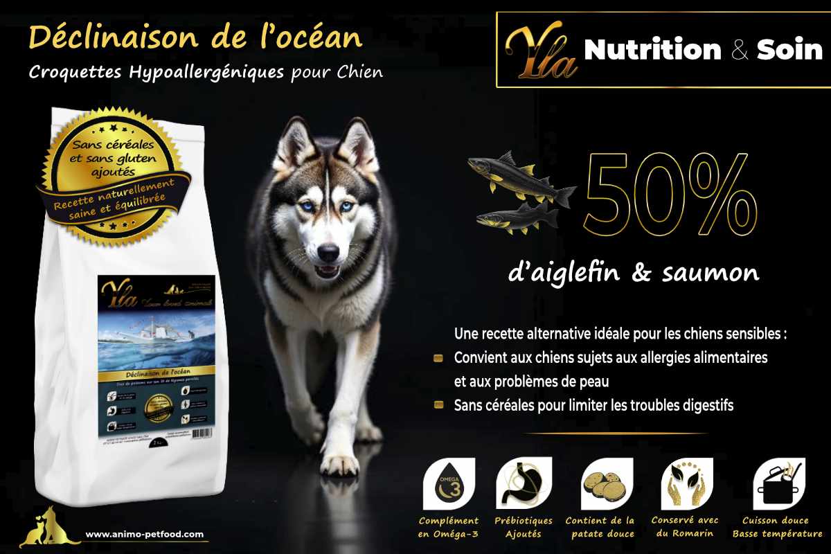 Croquettes hypoallergéniques pour chien avec 50% d'aiglefin et saumon, sans céréales, idéales pour les chiens sensibles.