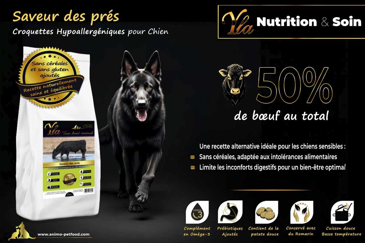 Croquettes hypoallergéniques pour chien avec 50% de bœuf, sans céréales - Idéales pour les chiens sensibles.