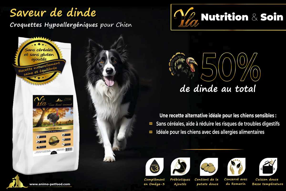 Croquettes hypoallergéniques pour chien avec 50% de dinde, sans céréales, adaptées aux chiens sensibles.