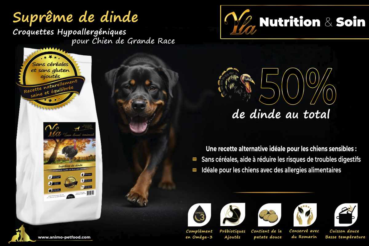 Croquettes hypoallergéniques pour chien de grande race, 50% de dinde, sans céréales, idéales pour les chiens sensibles.