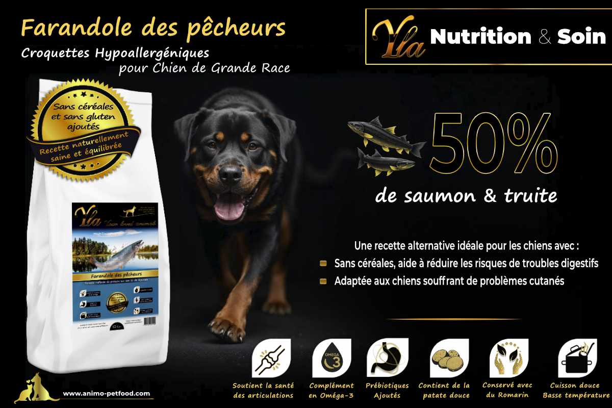 Croquettes hypoallergéniques pour chien de grande race, 50% saumon et truite, sans céréales, idéales pour les chiens sensibles