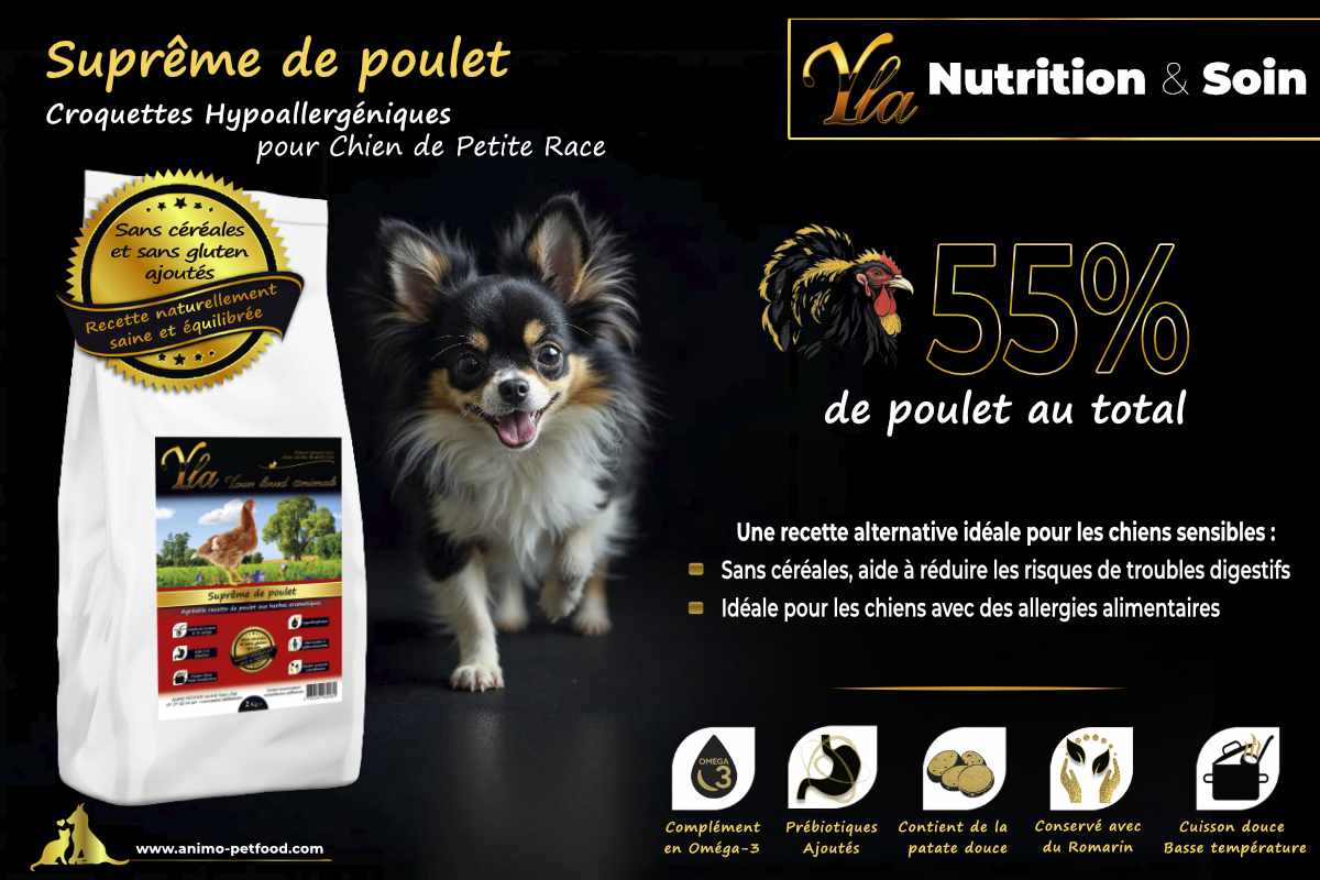 Croquettes hypoallergéniques pour chien de petite race, 55% de poulet, sans céréales, adaptées aux chiens sensibles.