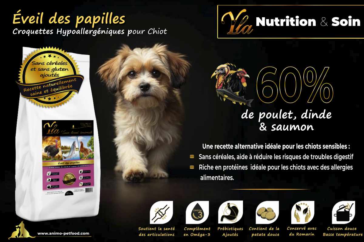 Croquettes digestes et équilibrées pour chiots en pleine croissance, sans allergènes ni gluten