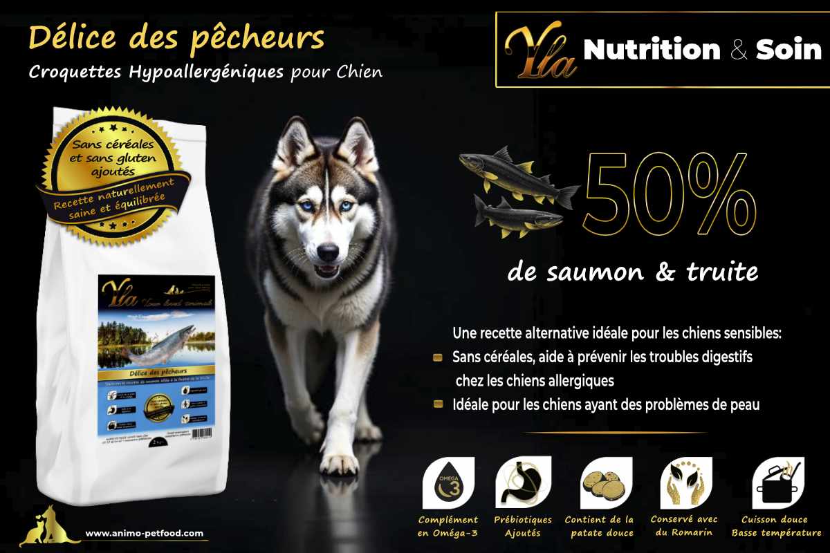 Croquettes hypoallergéniques pour chien avec 50% de saumon et truite, sans céréales, idéales pour les chiens sensibles.