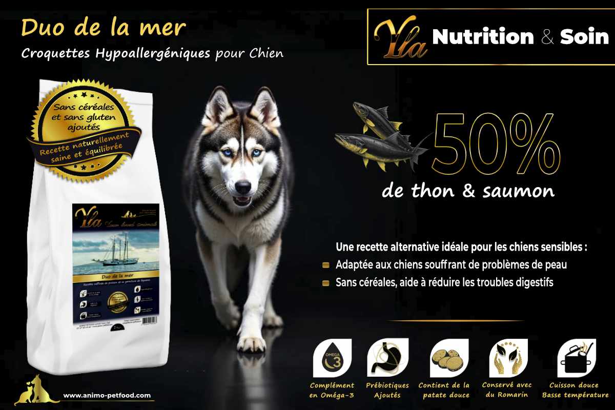 Croquettes hypoallergéniques pour chien avec 50% de thon et saumon, sans céréales, adaptées aux chiens sensibles