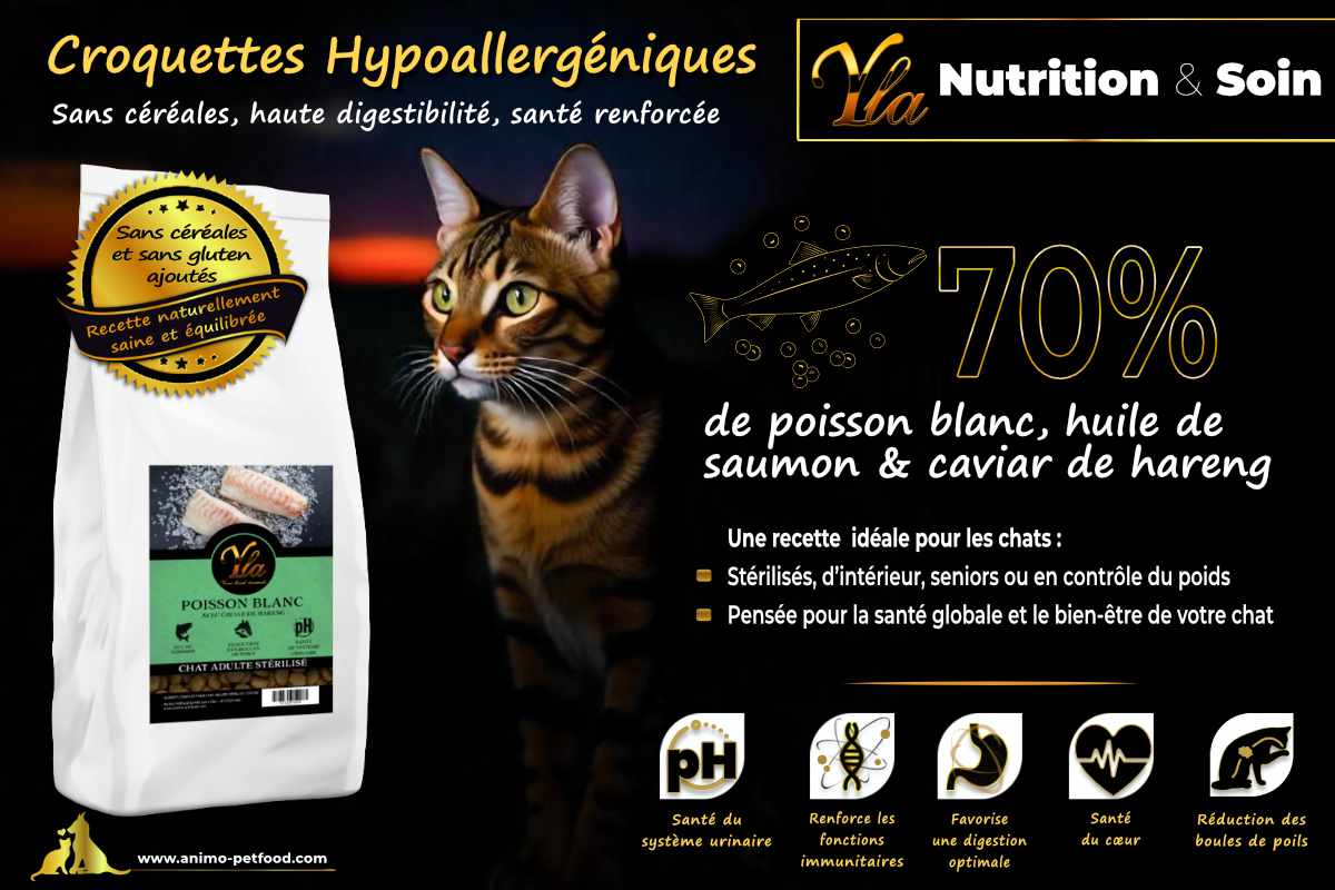 Croquettes naturelles pour chats avec caviar de hareng, riches en oméga-3 pour une santé optimale