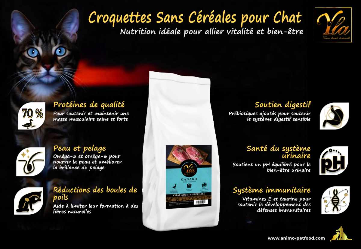 Alimentation pour chats soutenant la santé articulaire et favorisant une meilleure mobilité.