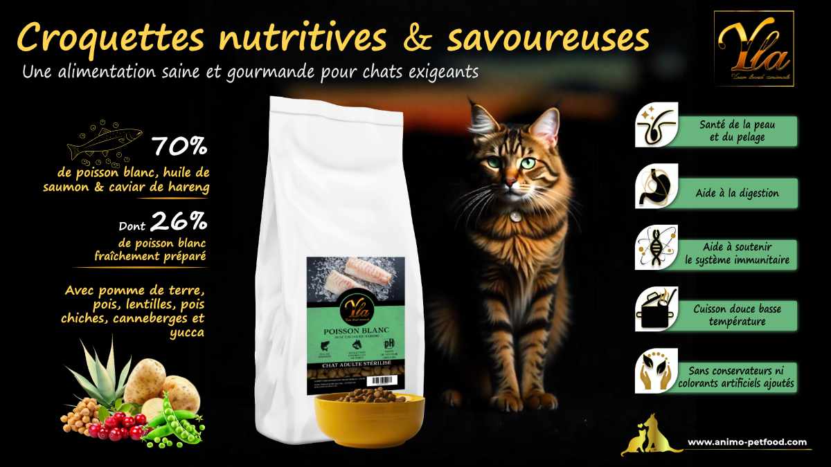 Alimentation faible en calories pour chats stérilisés, conçue pour un contrôle optimal du poids et une nutrition équilibrée.