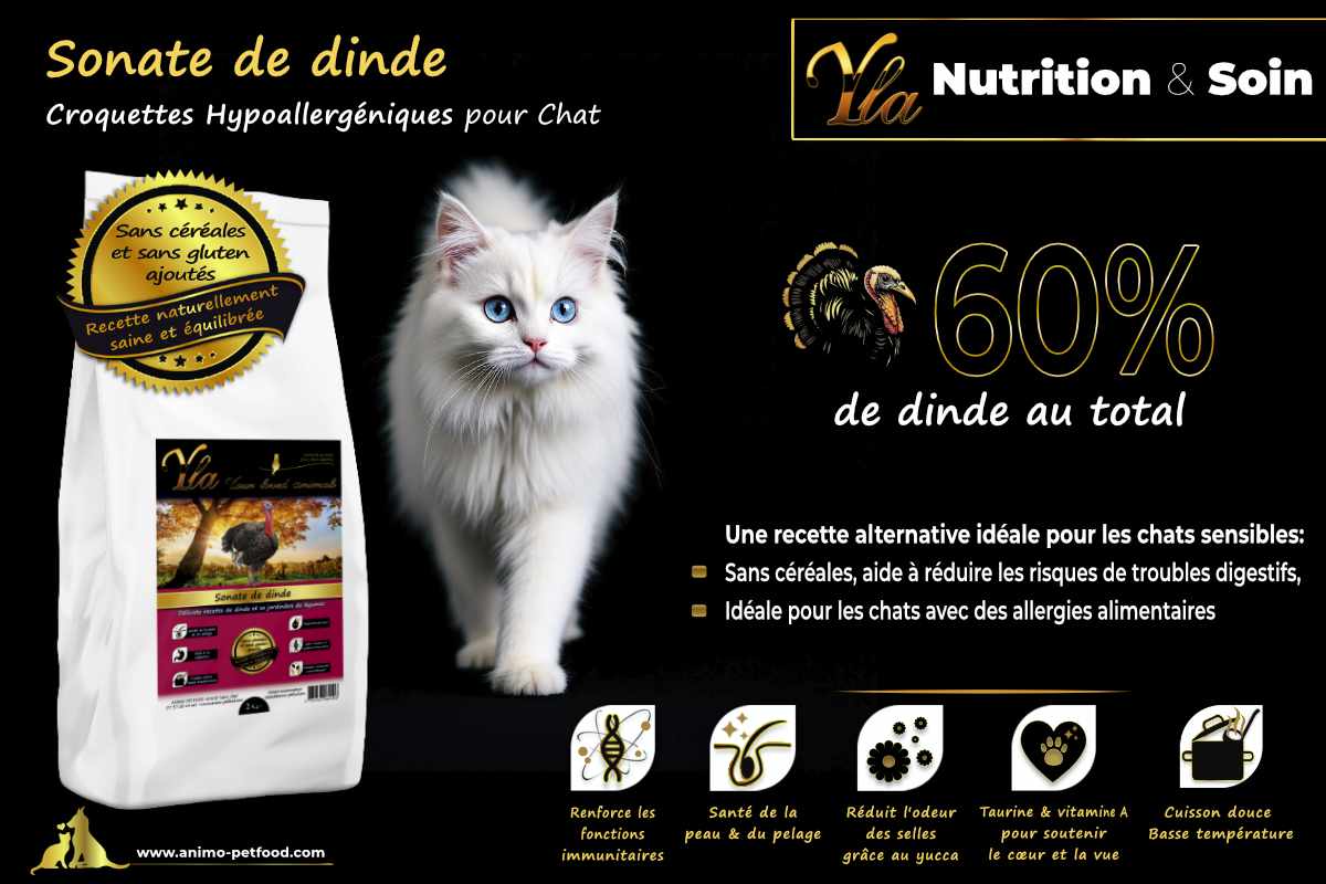 Alimentation naturelle pour chats sensibles avec croquettes sans gluten et céréales.