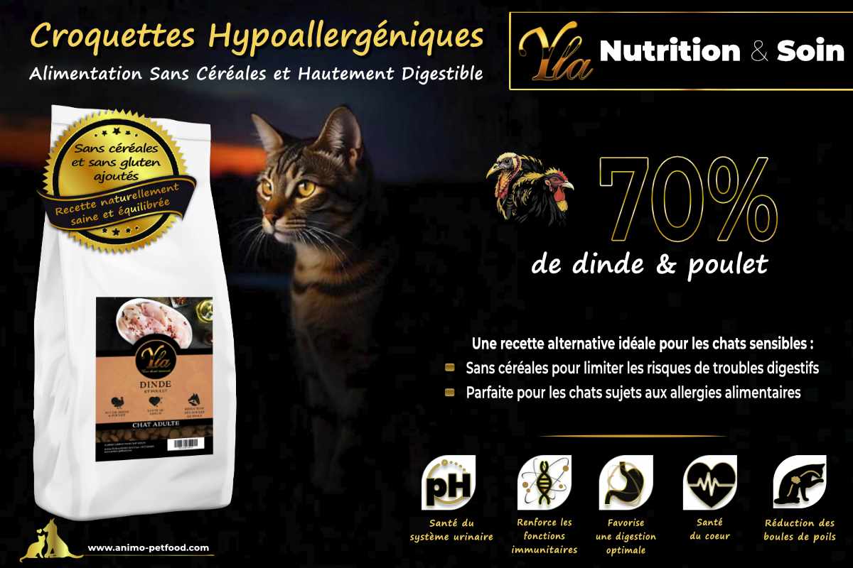 Alimentation naturelle sans céréales pour chat