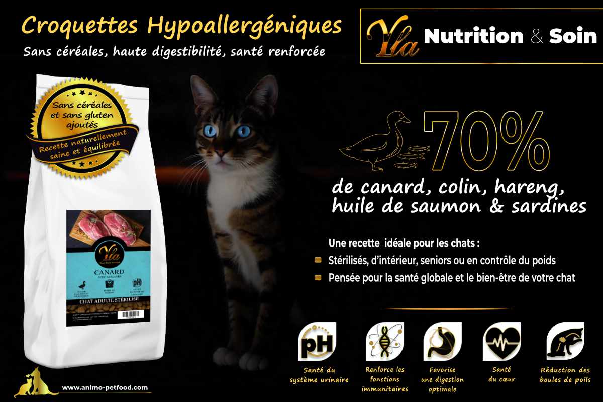 Alimentation sans allergènes conçue pour les chats sensibles, idéale pour leur santé et leur bien-être