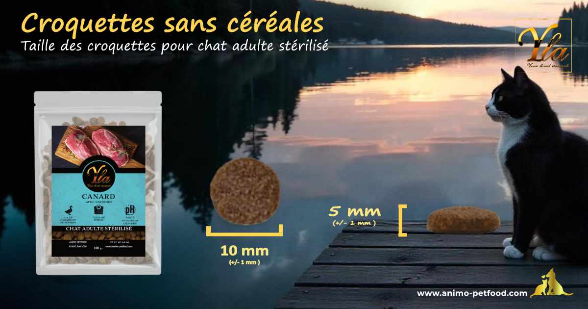 Croquettes adaptées aux besoins des chats stérilisés et vivant en intérieur