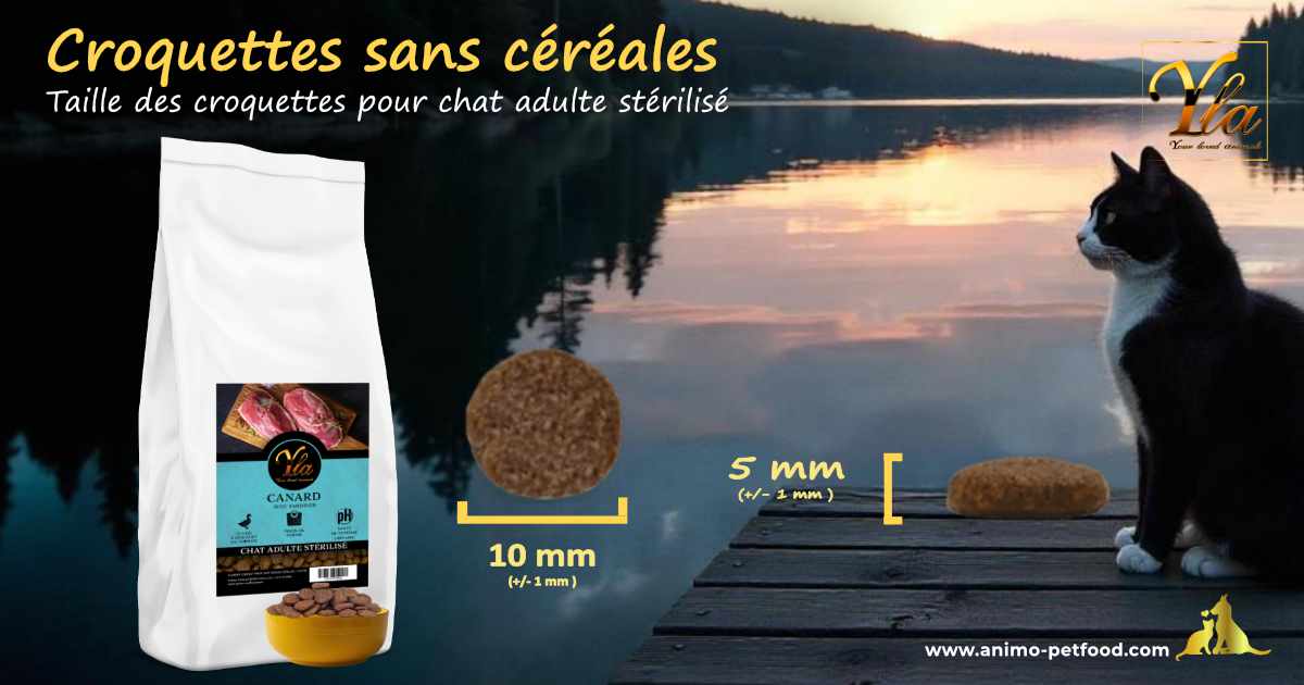 Croquettes adaptées aux mâchoires des chats seniors stérilisés, pour un repas confortable et nutritif.