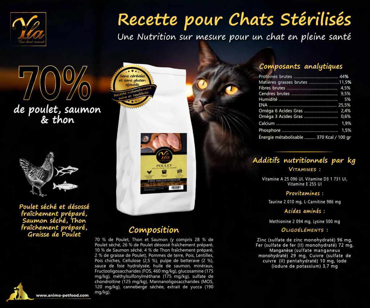 Croquettes haut de gamme sans céréales pour chat, formulées avec des ingrédients de qualité pour une nutrition optimale.