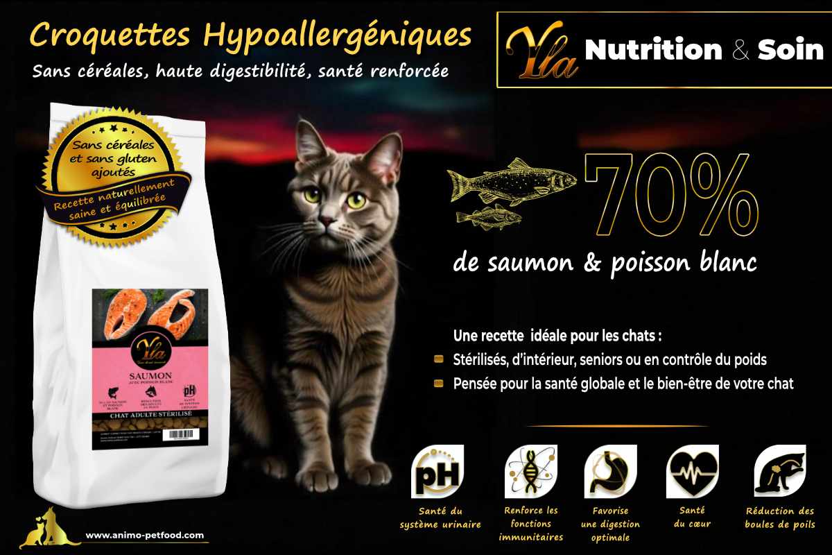 Croquettes riches en protéines de saumon pour chat stérilisé, sans céréales, favorisant la santé et la vitalité.