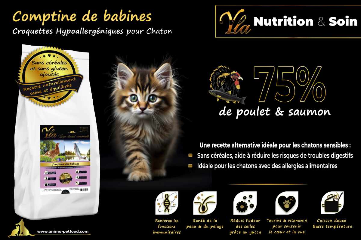 Croquettes hypoallergéniques pour chaton sans céréales au poulet et saumon. Idéales pour une digestion douce et une croissance optimale.